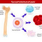 اعثر على افضل مستشفيات الهند المتخصصة في علاج جميع امراض السرطان والاورام السرطانية، الحميدة والخبيثة، على يد افضل أطباء ودكاترة معروفين بعلاج السرطان في الهند.