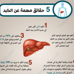 توجد على موقعنا قائمة افضل مستشفيات الهند لزراعة الكبد وأطباء معروفين بزراعة الكبد في الهند خاصة في ممباي، دلهي، تشيناي، بنجلور وكوتشي، كيرلا.