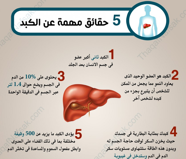 توجد على موقعنا قائمة افضل مستشفيات الهند لزراعة الكبد وأطباء معروفين بزراعة الكبد في الهند خاصة في ممباي، دلهي، تشيناي، بنجلور وكوتشي، كيرلا.