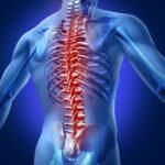 نستعرض في هذا المقال أسعار لمختلف عمليات للعمود الفقري بيد أفضل الأطباء و المستشفيات الهندية في مختلف المدن مثل مومباي، دلهي، بنغالور، كيرلا، حيدرأباد، تشيناي