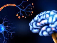 أفضل دكاترة الأعصاب والجلطات | تكلفة علاج التشنج | مستشفى الأعصاب في دلهي وبنغالور